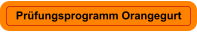 Prüfungsprogramm Orangegurt