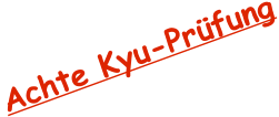 Achte Kyu-Prüfung